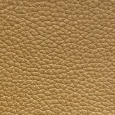 Parchment