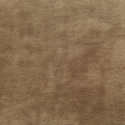Light Tan