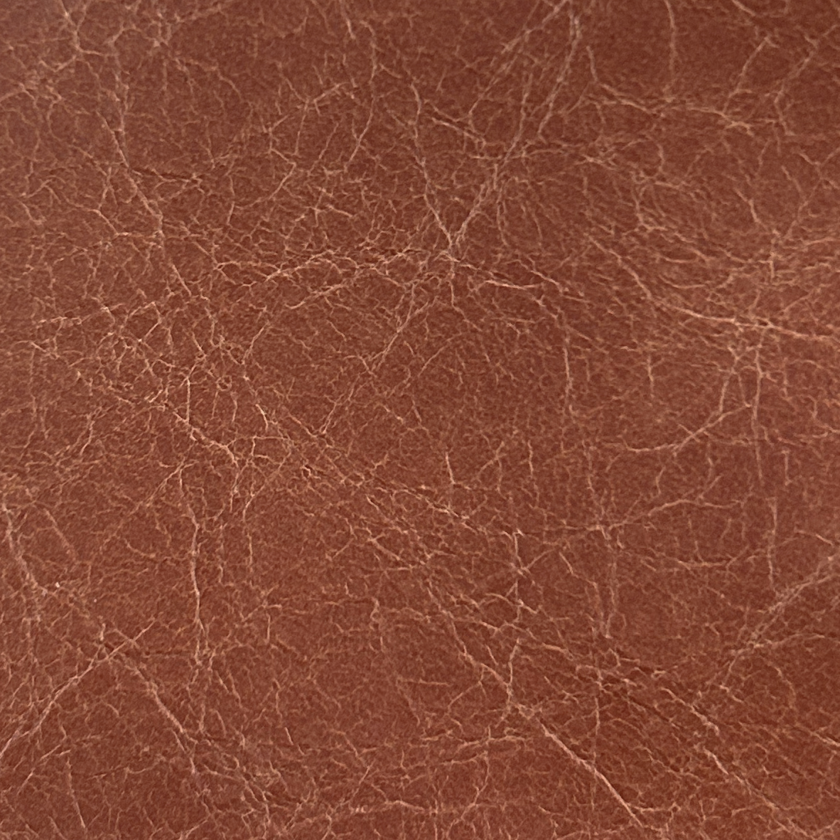 Terracotta