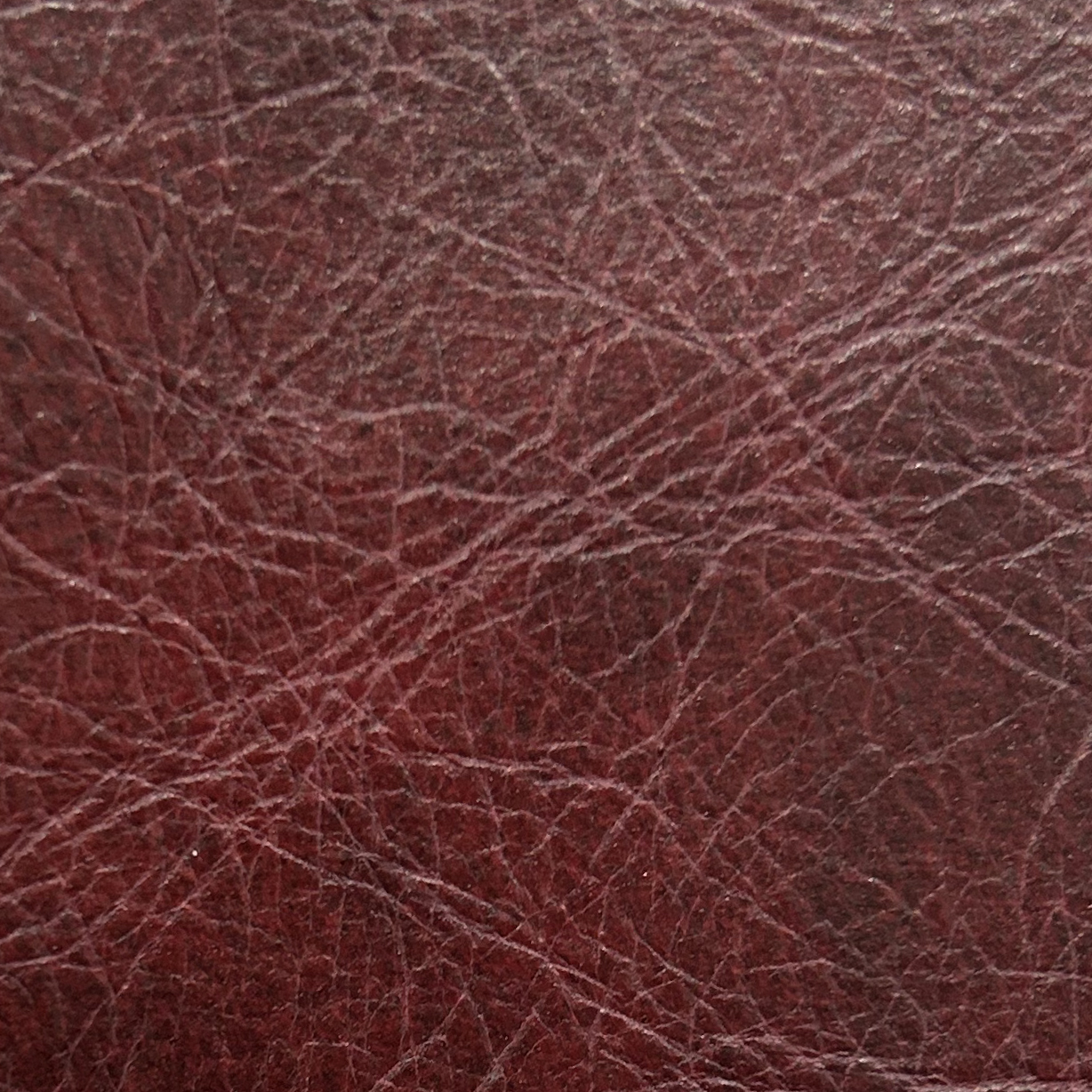 Oxblood